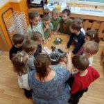 phoca_thumb_m_zajci a krmtko 14 Fotogalerie